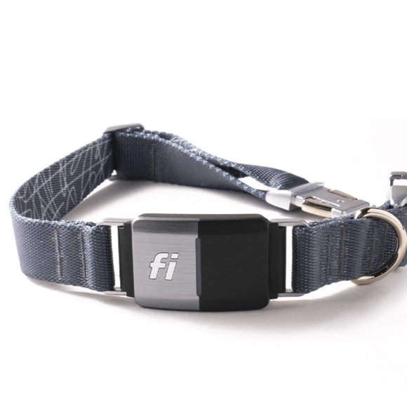 "FI" GPS dog collar Series 2 - Picture 1 of 6